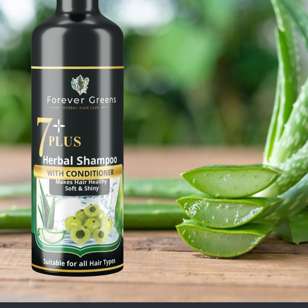 WhatsApp Image 2025 04 21 At 3.14.54 PM 1