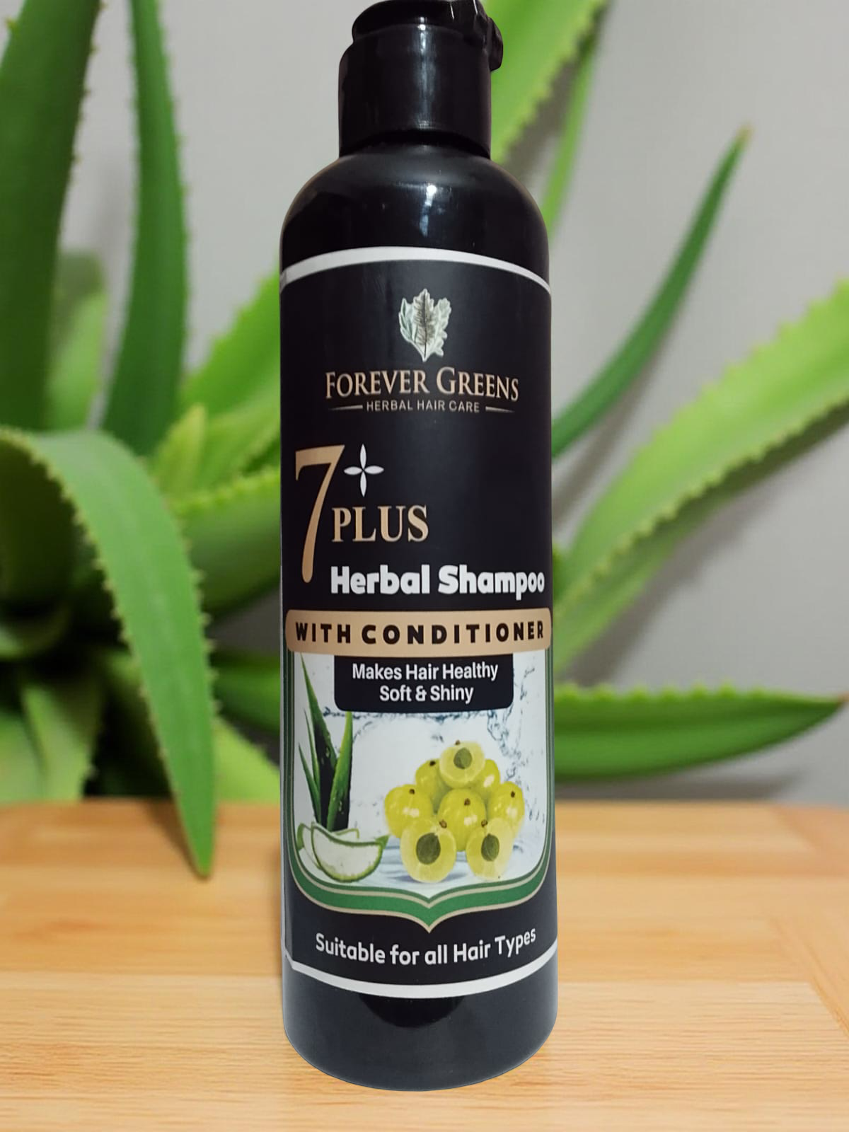 WhatsApp Image 2025 05 29 At 9.31.12 AM 3 2